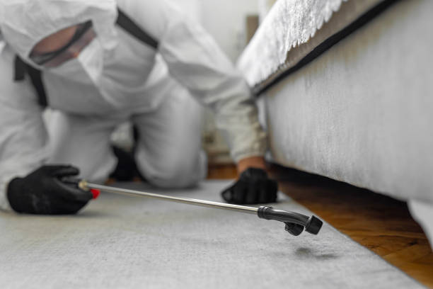 Professional Mosquito Control technician working in Converse, TX