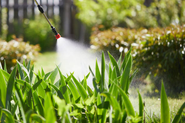 24/7 Emergency Mosquito Control experts in Converse, TX